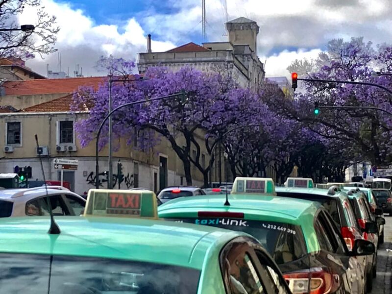 Lisbon: Old Town and Chiado Vintage Car Tour - Neighborhoods of Chiado, Bairro Alto, and Cais do Sodré