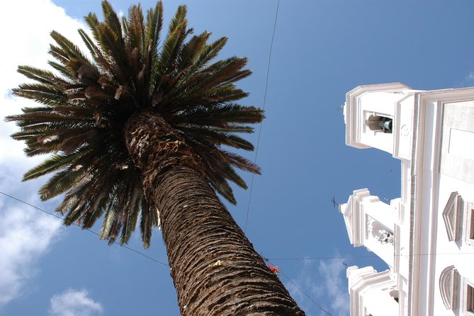 Lisbon Old town Tour - Meeting Point at Largo do Chafariz de Dentro