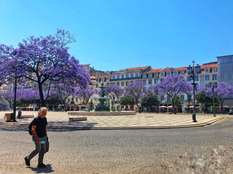 Lisbon: Old Town Tuk Tuk Tour - Value for Money and Booking Flexibility