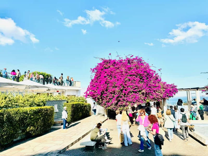 Lisbon: Old Town Tuktuk Tour - Visiting the Senhora do Monte and São Vicente de Fora