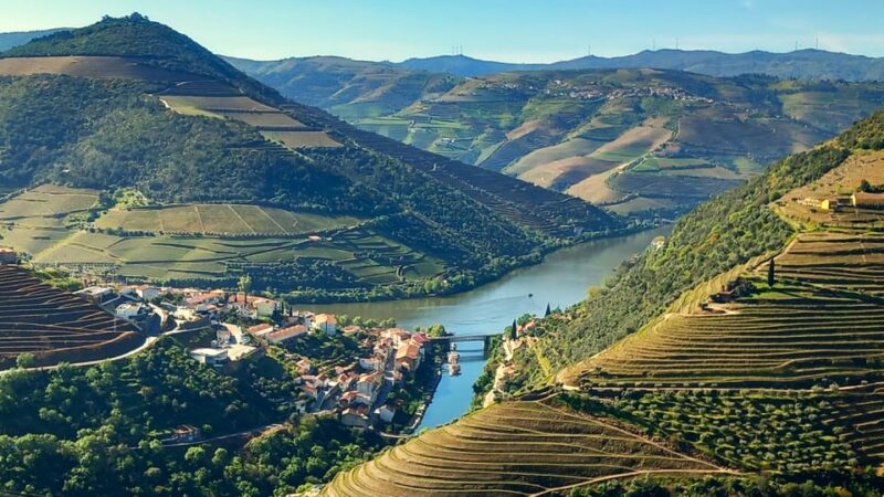 Lisbon: One Way to Douro Valley through Coimbra and Obidos - Key Points