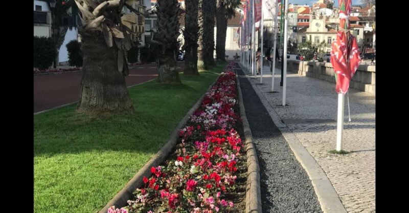 Lisbon: Pena Palace, Sintra, Cascais, and Cabo Roca Day Trip - Explore Lisbon’s Iconic Day Trip to Sintra, Cascais, and Cabo Roca for $157