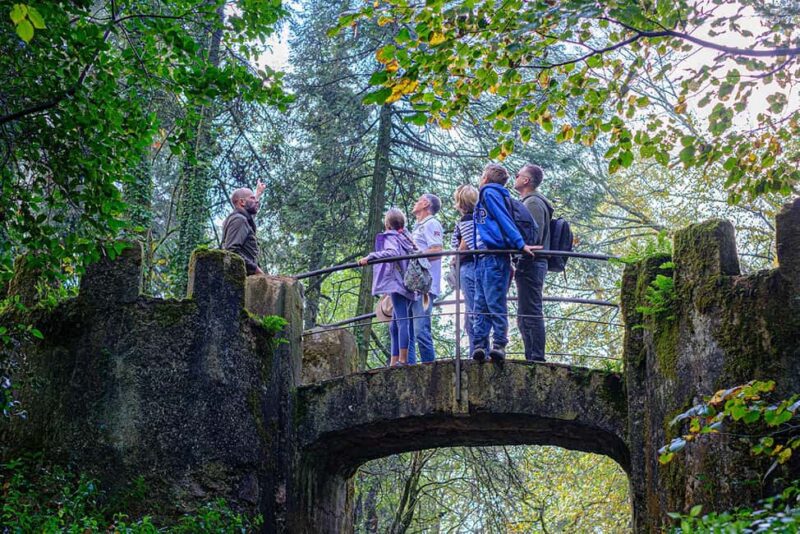 Lisbon: Pena Palace, Sintra, Roca & Cascais by Van - Exploring Sintra Old Town and Palace Options