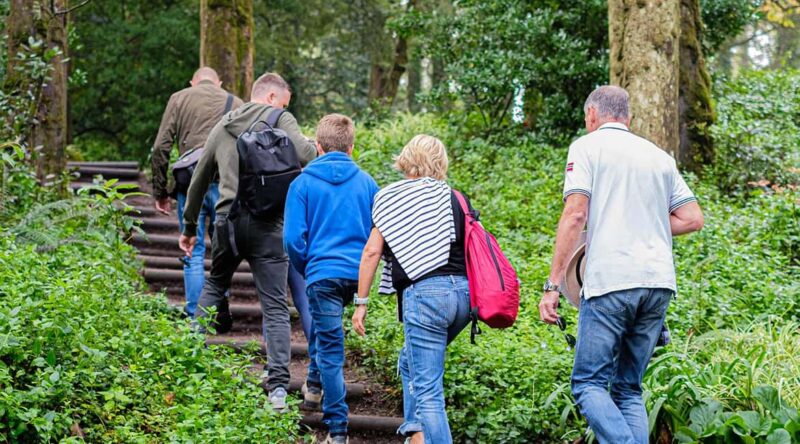 Lisbon: Pena Palace, Sintra, Roca & Cascais by Van - Practical Tips and Travel Info