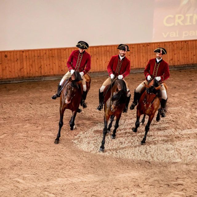 Lisbon: Portuguese Riding School Trainig with Lusitano Horse - Discover the Portuguese School of Equestrian Art in Lisbon