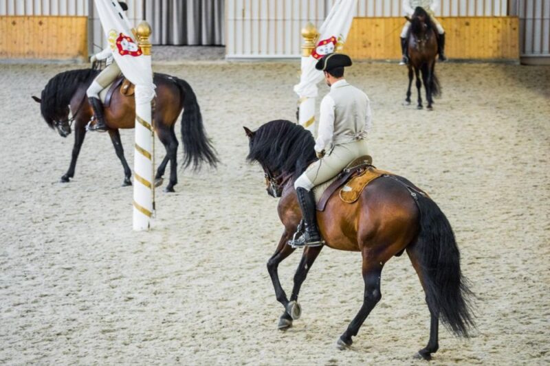 Lisbon: Portuguese Riding School Trainig with Lusitano Horse - The Charm of the Nora Patio and 18th-Century Atmosphere