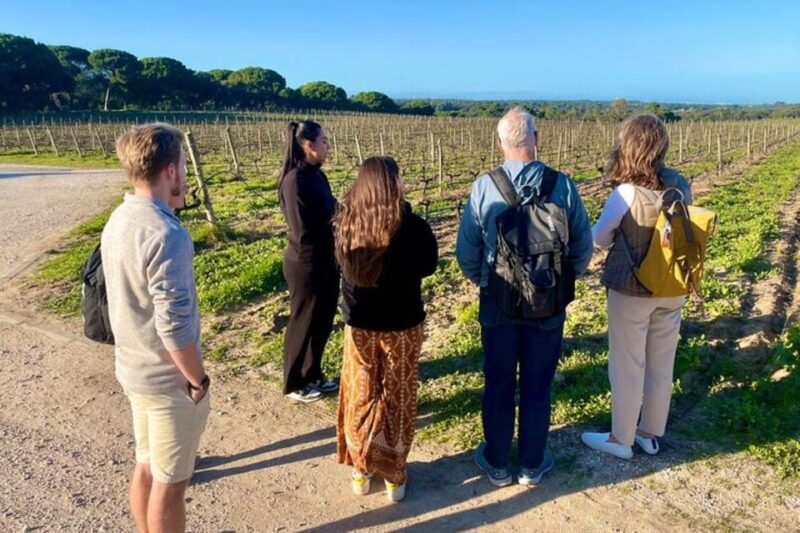 Lisbon: Private All Inclusive Setúbal & Arrábida Wine Tour - Arrábida Natural Park: Scenic Views and Photo Stops