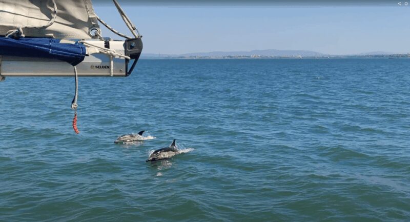 Lisbon: Private Boutique Boat Tour  Sail in Style - Accessibility and Booking Details