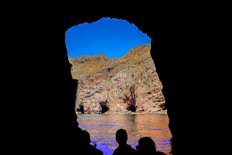 Lisbon: Private Full Day Tour to Berlengas Island - An Exclusive Full-Day Adventure to Berlengas Islands from Lisbon