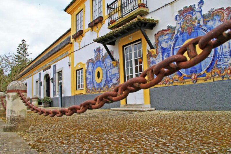 Lisbon: Private Full-Day Wine Tasting Tour in a premium car - Exceptional Private Wine Experience in Lisbons Surroundings