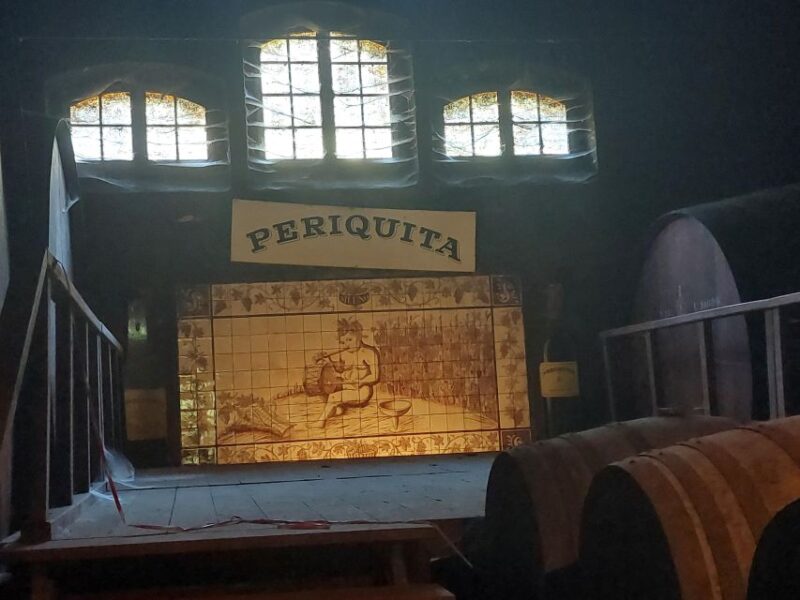 Lisbon: Private Full-Day Wine Tasting Tour in a premium car - Wine Tastings at Two Top Wineries