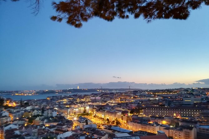 Lisbon PRIVATE Half Day Tour - Transport and Logistics for a Smooth Experience