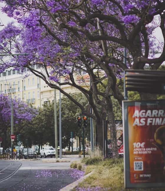 Lisbon: Private Old Town Tour - End at Time Out Market for Independent Exploration