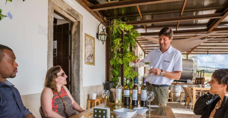 Lisbon Private Setúbal Region Wine Tasting Tour - Lisbon’s Best-Kept Secret: The Setúbal Region