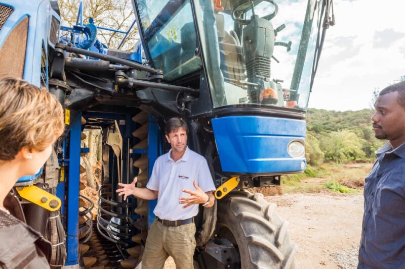 Lisbon Private Setúbal Region Wine Tasting Tour - Exploring Quinta de Alcube’s Traditional Charm