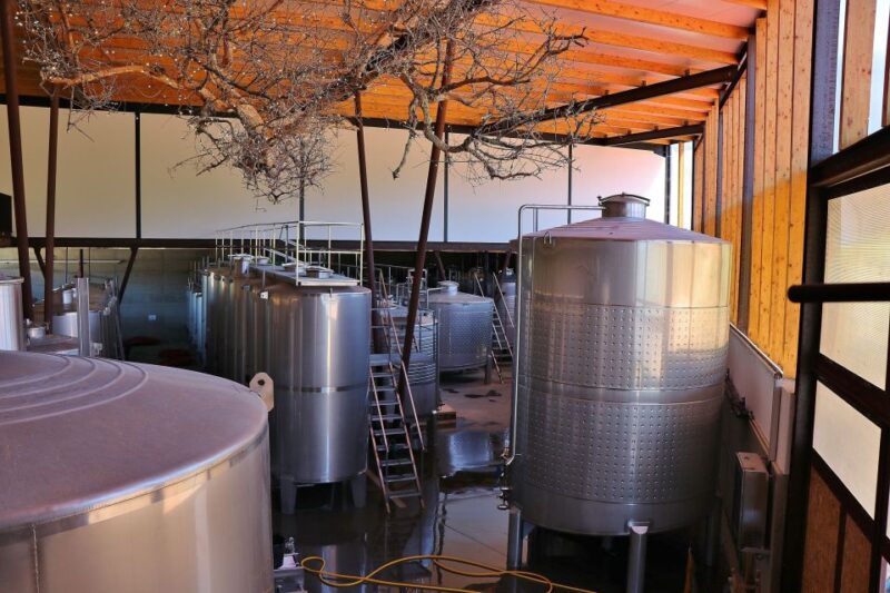 Lisbon Private Setúbal Region Wine Tasting Tour - The Setúbal Regional Mother House: A Collective Showcase