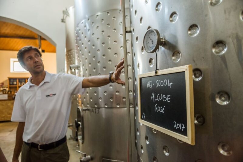 Lisbon Private Setúbal Region Wine Tasting Tour - The Guide’s Role and Personal Touch