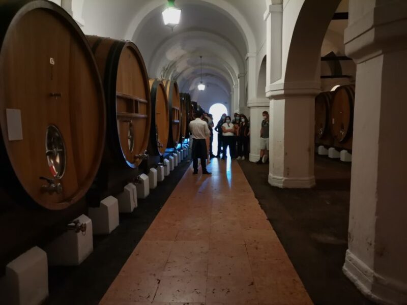 Lisbon: Private Tour Evora with Wine Tasting at the Cartuxa - Comparing Similar Experiences in Évora