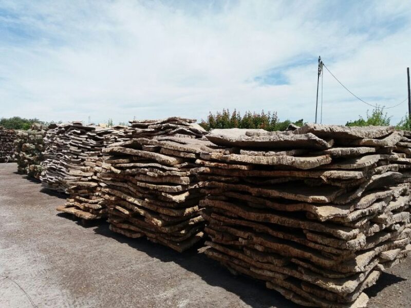 Lisbon: Private Tour to Évora and Cork Factory - Discovering the Chapel of Bones and São Francisco Church