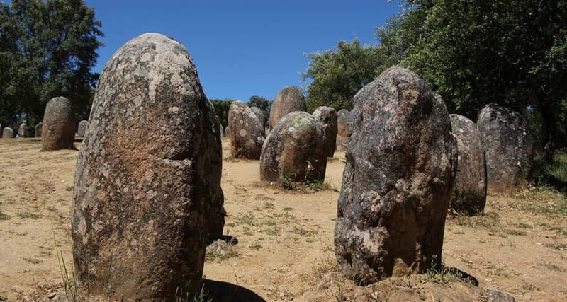 Lisbon: Private Tour to Evora with Private Transport & Guide - Practical Details and Considerations