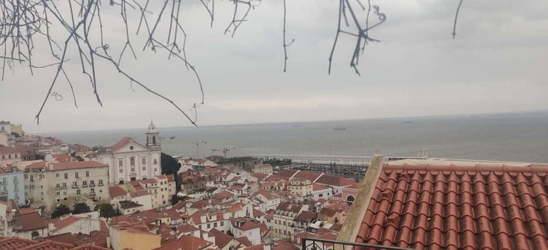 Lisbon: Private Tuk Tuk City Tour with Local Driver - Discover Lisbon in 1.5 Hours on a Private Tuk Tuk Adventure