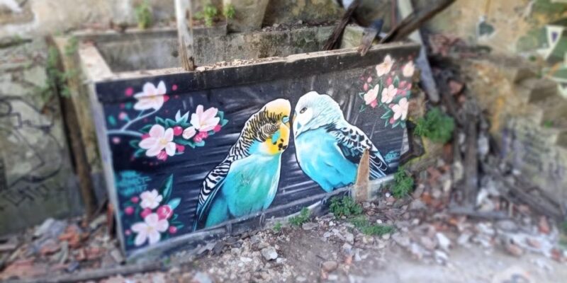 Lisbon: Private Tuk-Tuk Street Art Tour for 2,5 hours - The Experience of a Private Group Tour