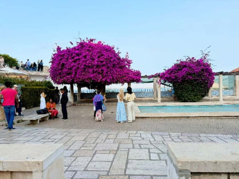 Lisbon: Private Tuk-Tuk Tour of Old Town & Scenic Viewpoints - The Final Stop Options and End of Tour Flexibility