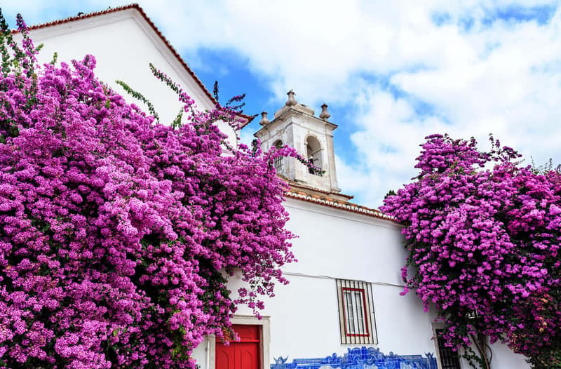 Lisbon: Priver Guided Tuk Tuk Tour With Hotel Pickup - Pricing and Comparison