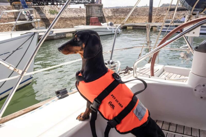 Lisbon: Sailing trip on the Tagus River - What the 3-Hour Sailboat Tour Encompasses