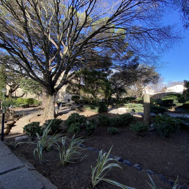 Lisbon: Saint George's Castle Entry & City Self-Guided Tours - Physical and Technical Requirements