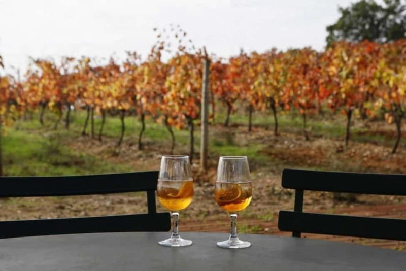 Lisbon: Setúbal, Arrábida and Azeitão Private Wine Tour - Explore the Authentic Flavors and Scenery of Setúbal