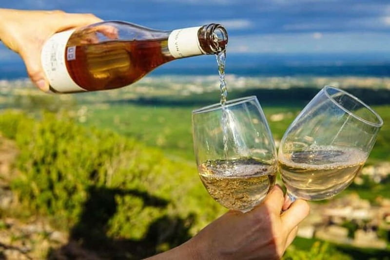 Lisbon: Setúbal, Arrábida and Azeitão Private Wine Tour - Wine Tasting at the Hilltop Vineyard