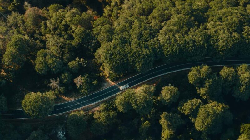 Lisbon: Setúbal, Arrábida, and Sesimbra tour with wine and boat - Explore the Best of Lisbon’s Coastal Charm in One Day