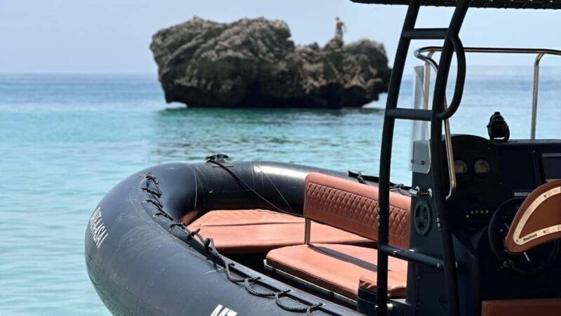 Lisbon: Setúbal, Arrábida, and Sesimbra tour with wine and boat - Visiting Mercado do Livramento: A Lisbon Icon