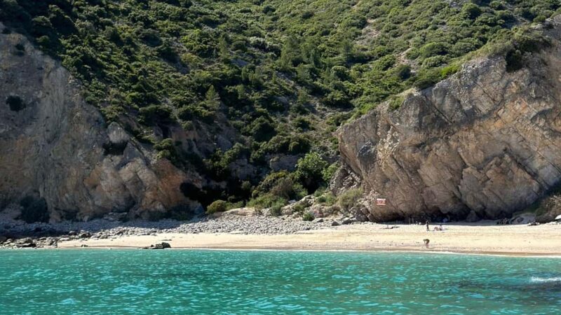 Lisbon: Setúbal, Arrábida, and Sesimbra tour with wine and boat - Wine Tasting in a Local Winery