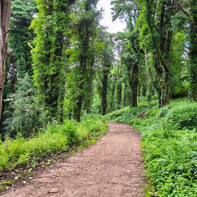 Lisbon: Sintra Hidden Trails Hike - Stunning Views from Sintra’s Second-Highest Point