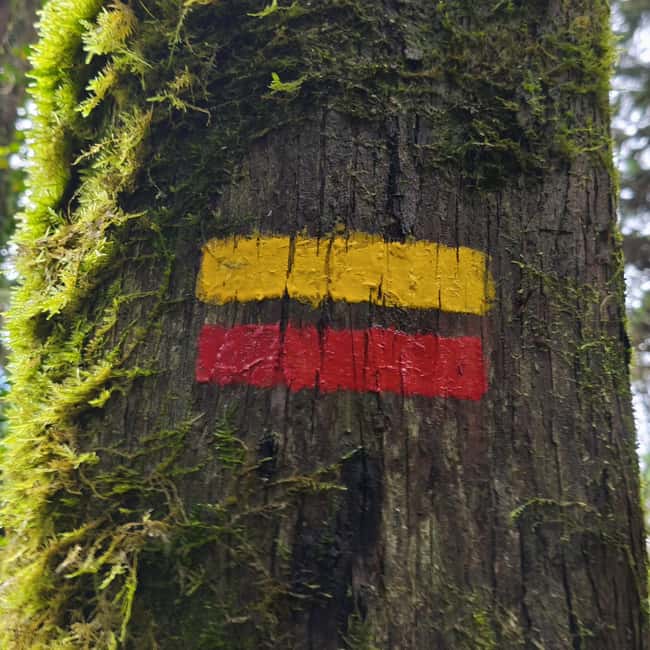 Lisbon: Sintra Hidden Trails Hike - Logistics and Practical Details of the Guided Hike