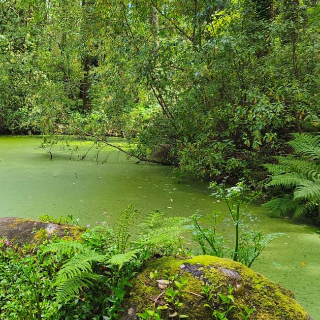 Lisbon: Sintra Hidden Trails Hike - The Adventure Level and Physical Requirements