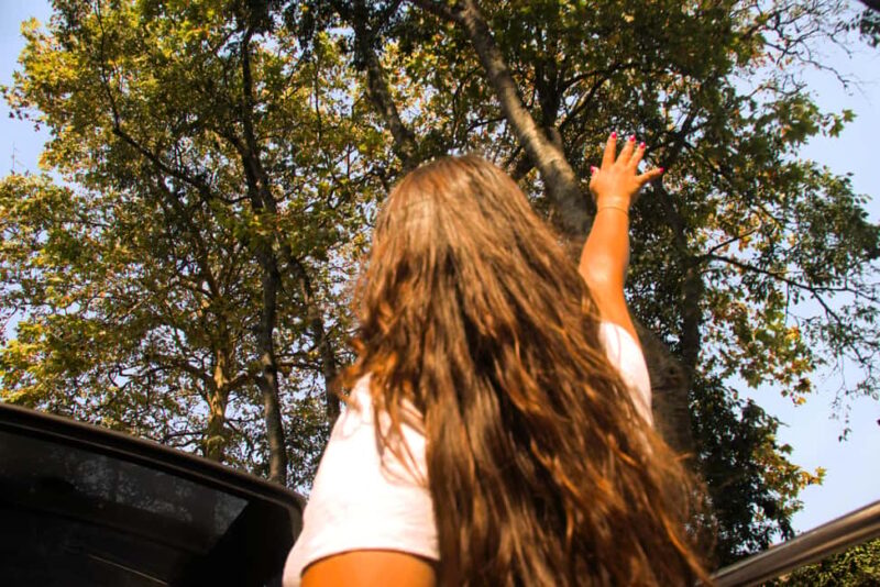 Lisbon: Sintra, Pena Palace, Regaleira, and Cabo da Roca - Sampling Sintra’s Enchanting Streets During Lunch and Free Time