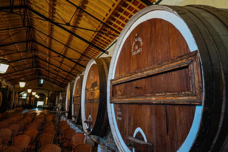 Lisbon: Sintra, Pena Palace & Wine Tasting Small-Group Tour - Accessibility and Limitations