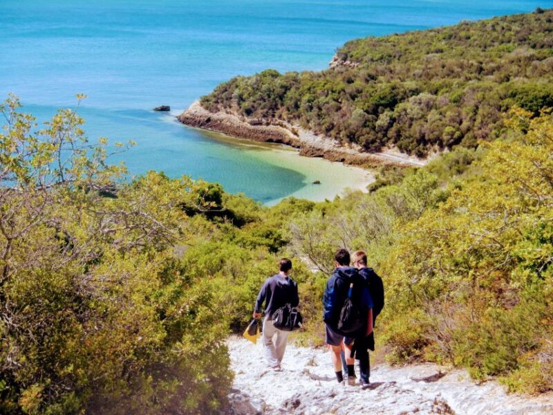 Lisbon: Snorkeling and Wine Tasting in Arrábida - Discover the Beauty of Arrábida on a Full-Day Snorkeling and Wine Tasting Tour