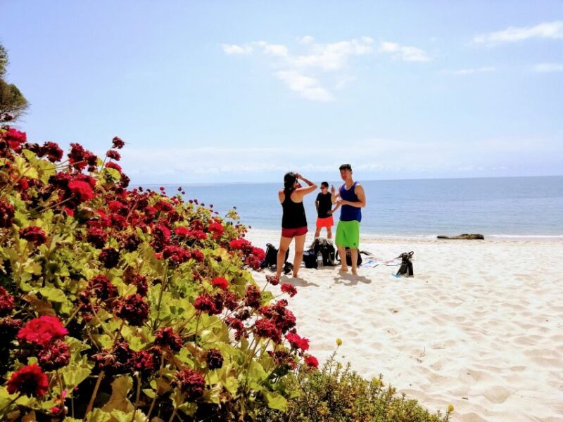 Lisbon: Snorkeling and Wine Tasting in Arrábida - Wine Tasting in a Historic Cellar