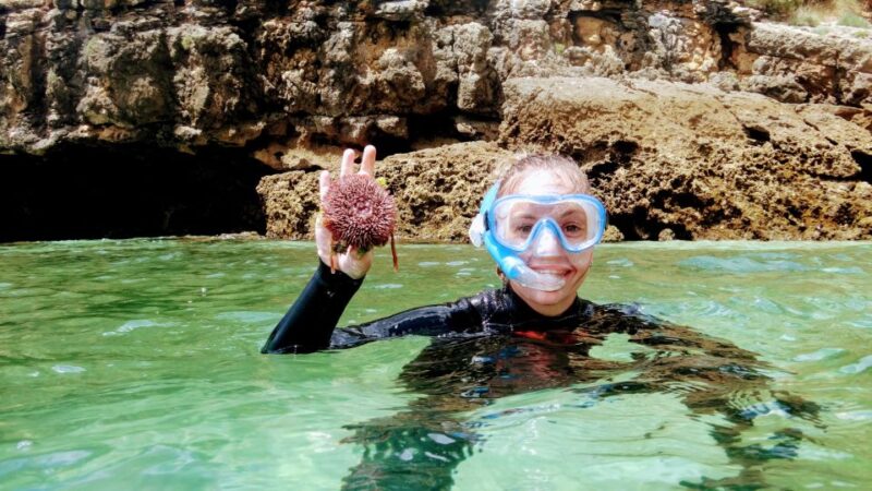 Lisbon: Snorkeling and Wine Tasting in Arrábida - Value and Booking Flexibility