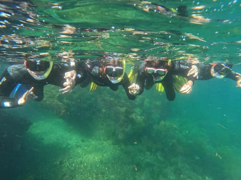 Lisbon: Snorkeling experience in Marine Reserve with photos - Similar Experiences and Additional Options
