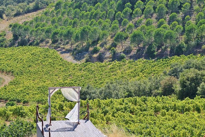 Lisbon Southern Region (Fernão Pó) Wine Tasting Private Tour - The Wines and Tasting Experience