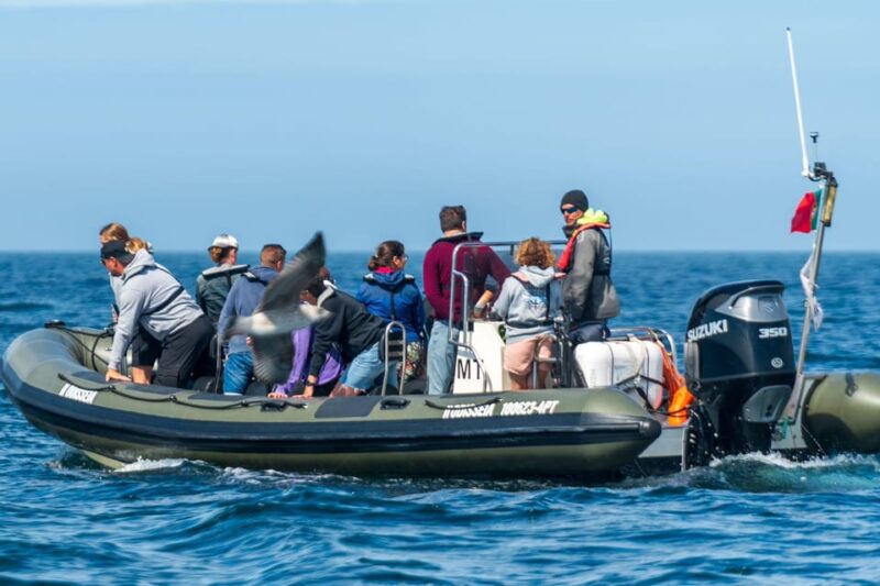Lisbon: Speedboat Trip to Bugio Lighthouse - Passing the Monument to the Discoveries