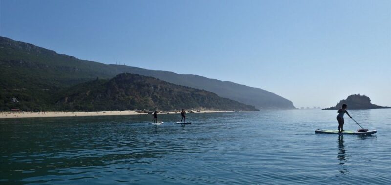 Lisbon: Stand Up Paddle Lesson in Arrábida, Setubal,Sesimbra - Learning to Paddle: From First Glides to Confident Moves