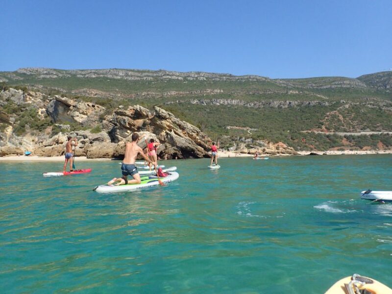 Lisbon: Stand Up Paddle Lesson in Arrábida, Setubal,Sesimbra - Exploring Arrábidas Hidden Beaches and Marine Life
