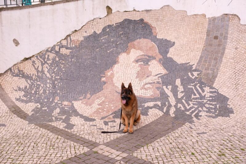 Lisbon: Street Art Private Guided Tour by Tuk-Tuk - Marvila’s Contemporary Urban Art