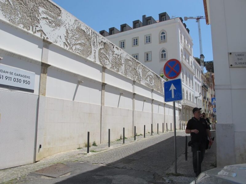 Lisbon Street Art Tour - Explore Lisbon’s Street Art in Two Historic Neighborhoods